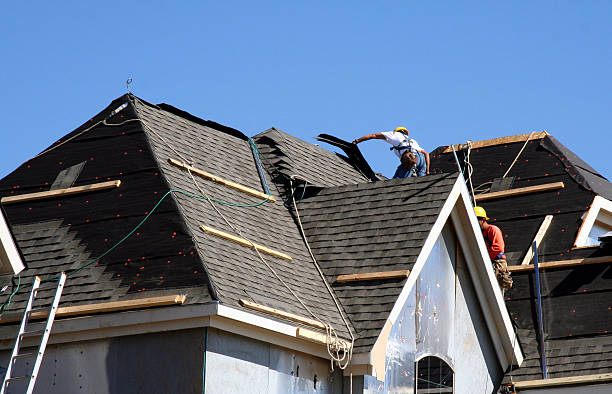 Best Metal Roofing Installation  in Bylas, AZ